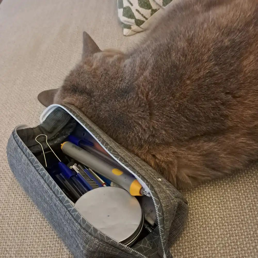 Romy en train de farfouiller dans la trousse de stylos Bic de Mikl